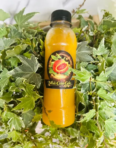 Gấc Tái Tạo